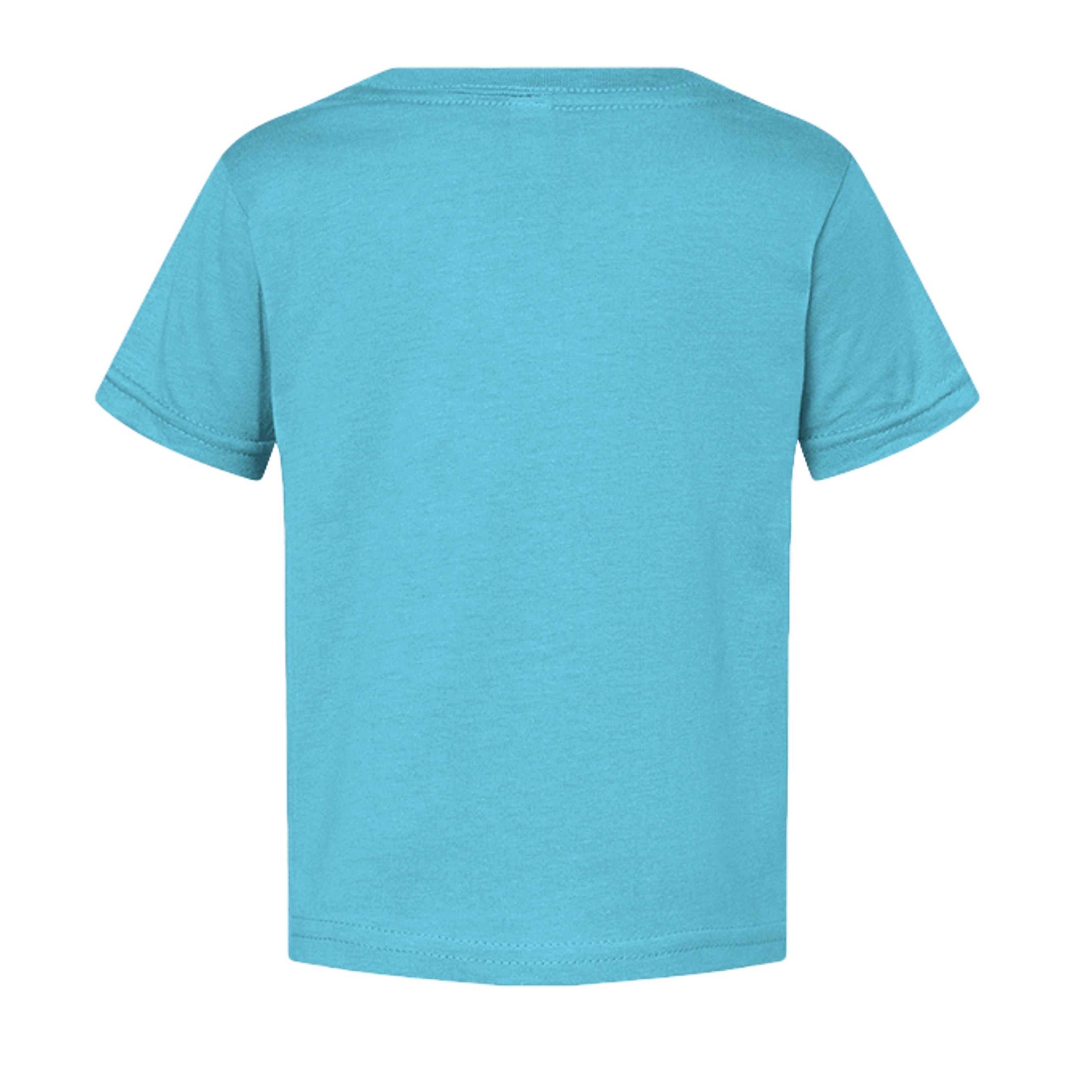 AQUA - 3321 - BACK